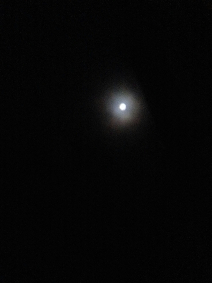 Moon