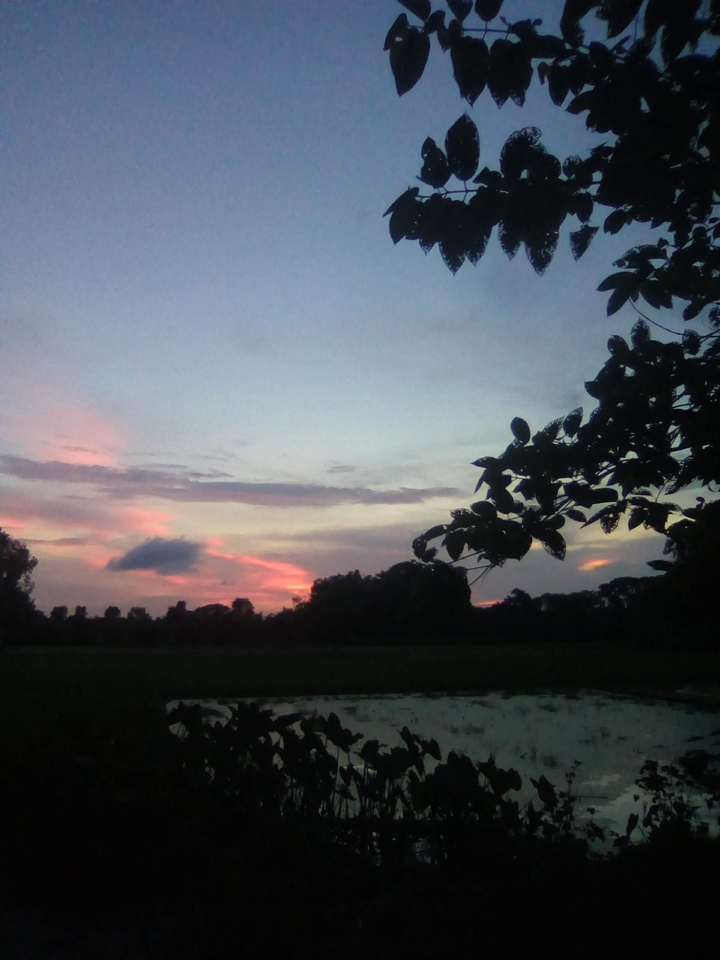 natural view