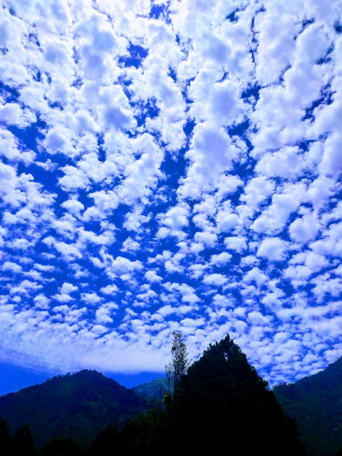cloud