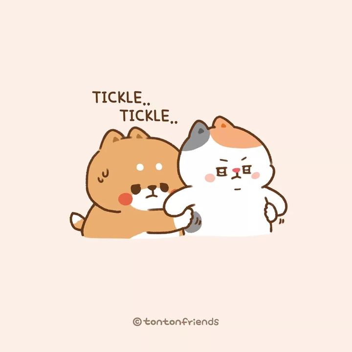 TonTon
