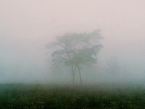 Morning Haze