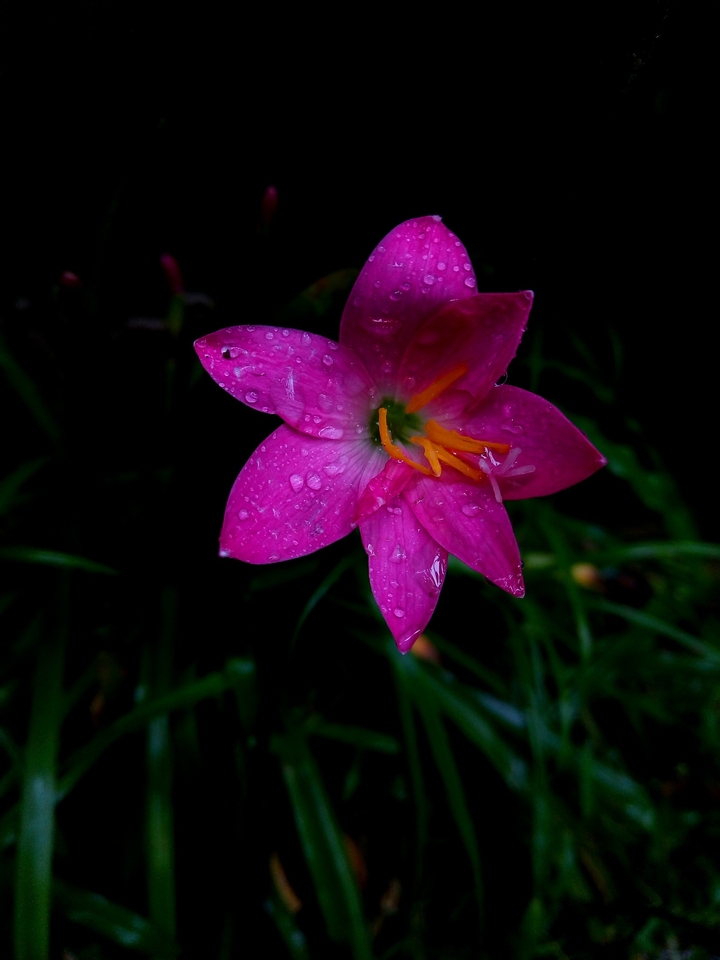 I don't know about this as  long.captured by my mobile.