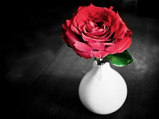 l will miss you