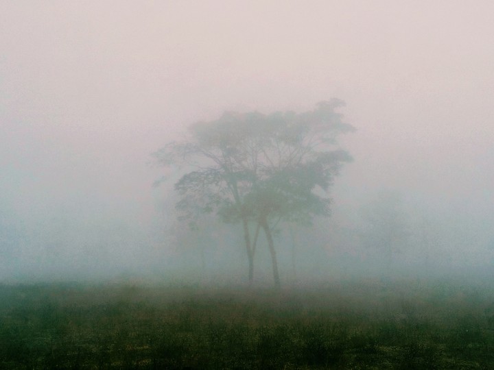 Morning Haze
