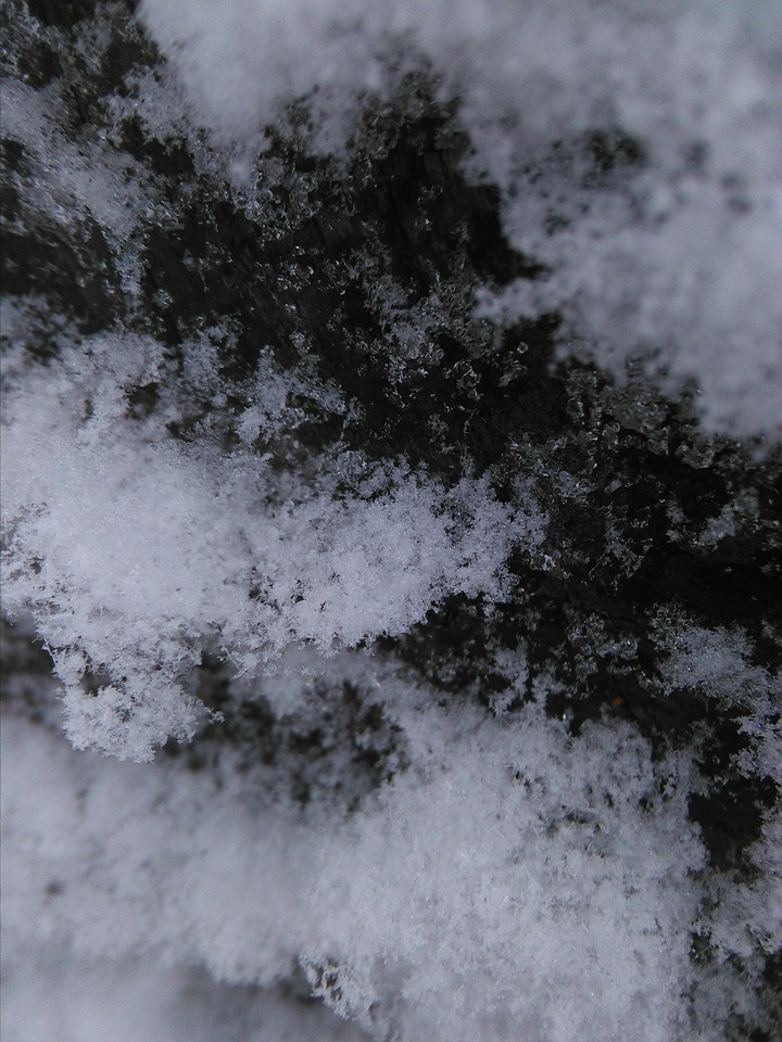 Magic winter