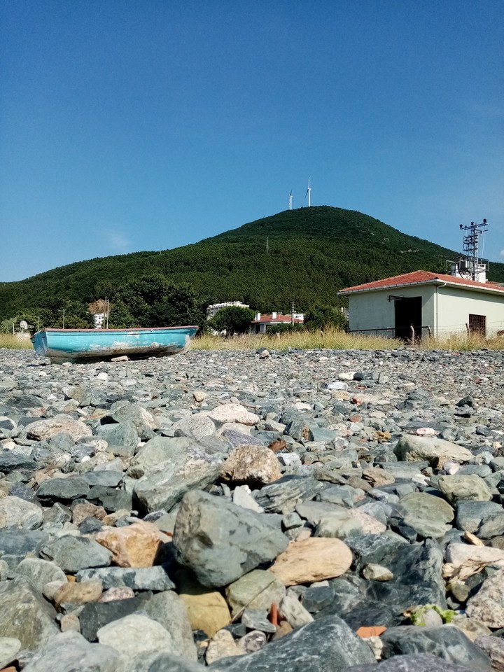 Boş sandal