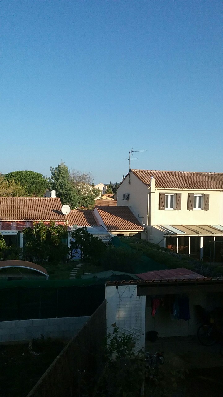 the house