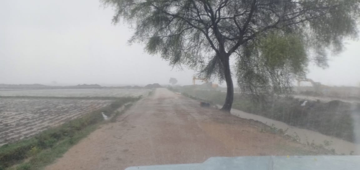 Rain