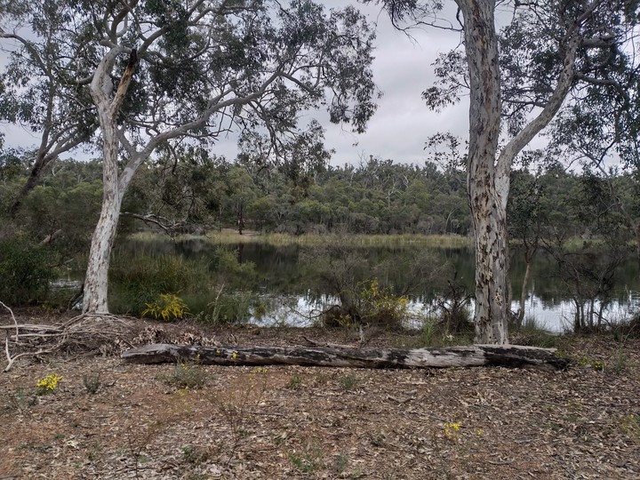 Lake Leschenaultia...Western Australia