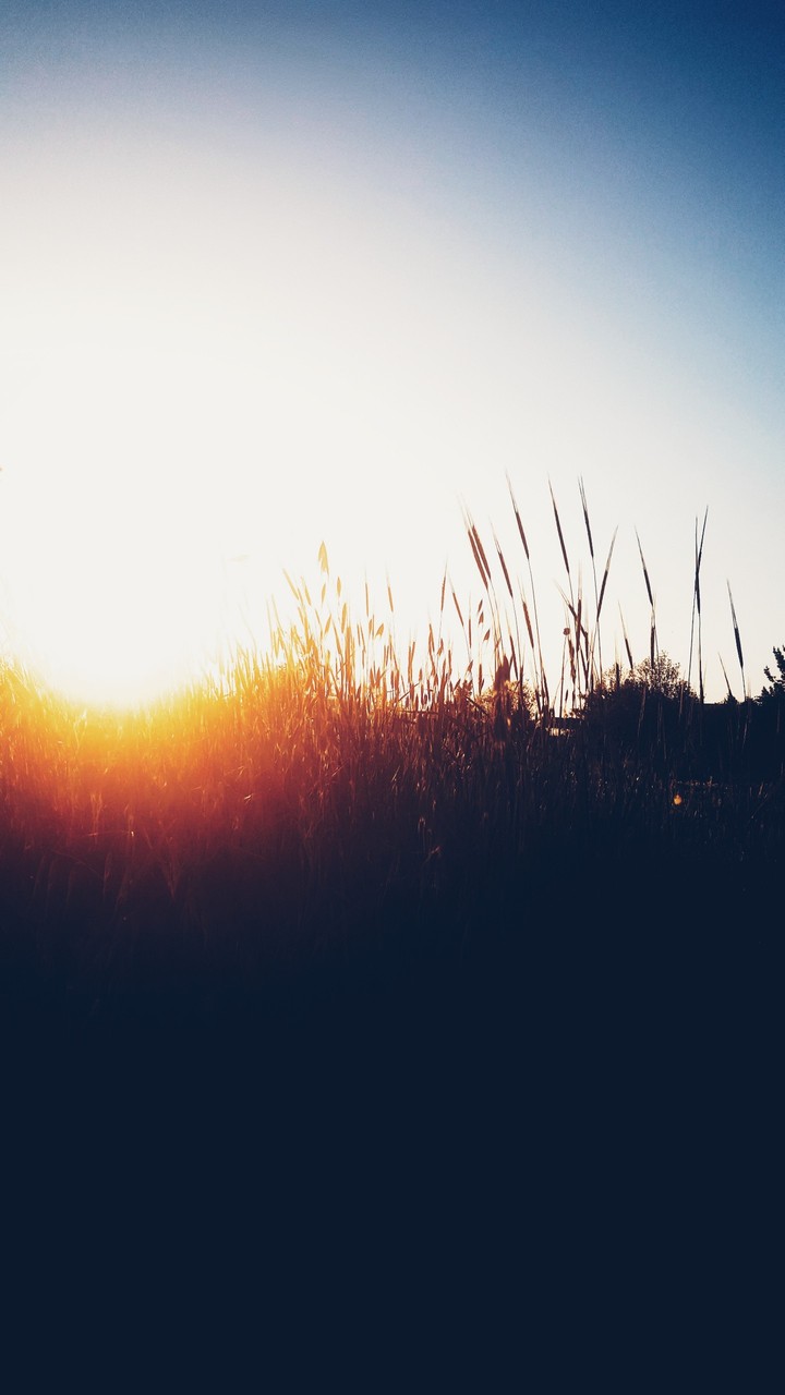 sunsets