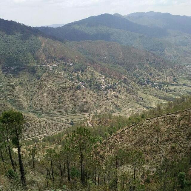 Real peace in valley