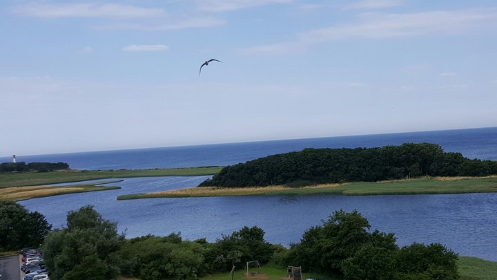 море