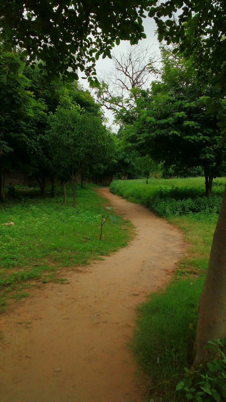 i love lonely place