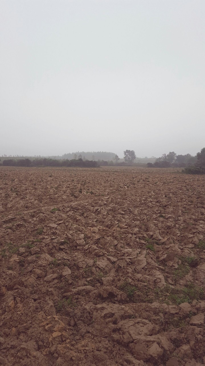 miền quê Kỳ Anh, Hà Tĩnh của tôi