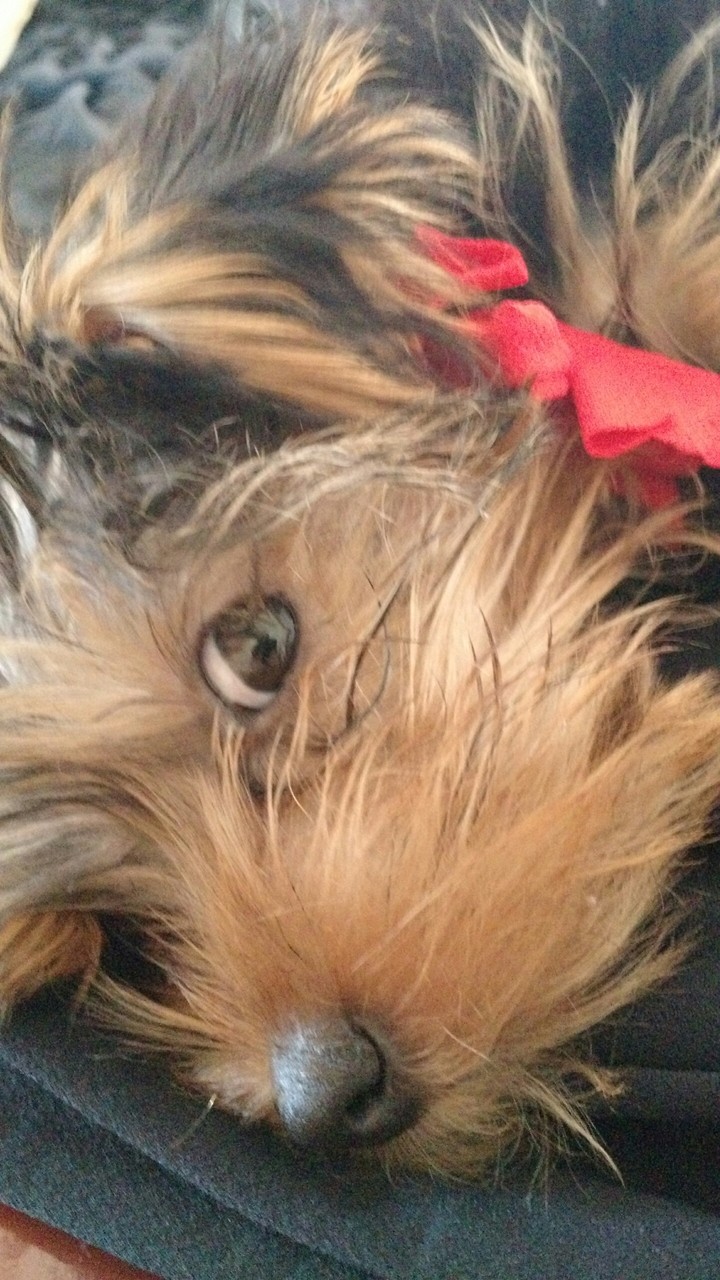 eyes