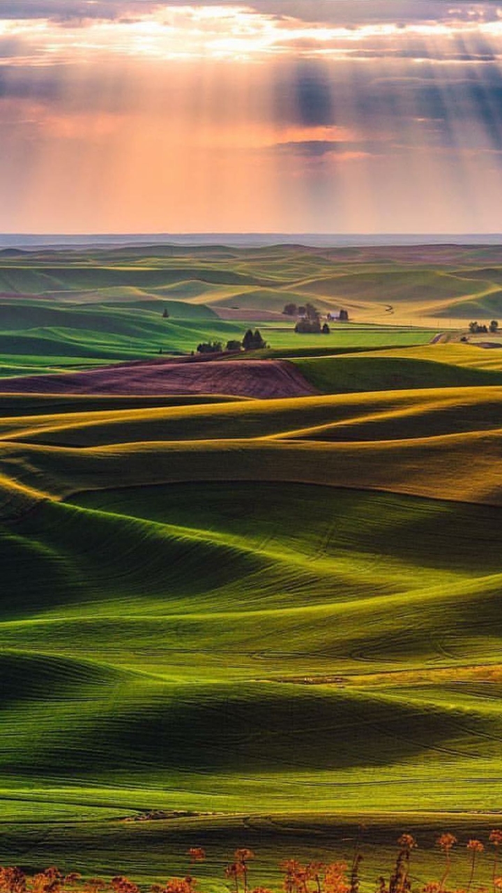 country side