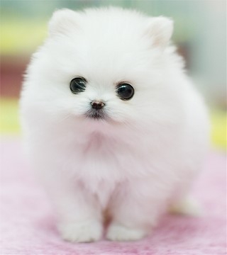 ㅇ