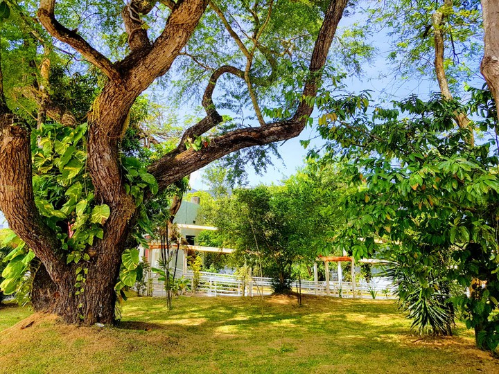 Fazenda