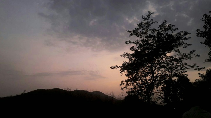 Nature at its best!
