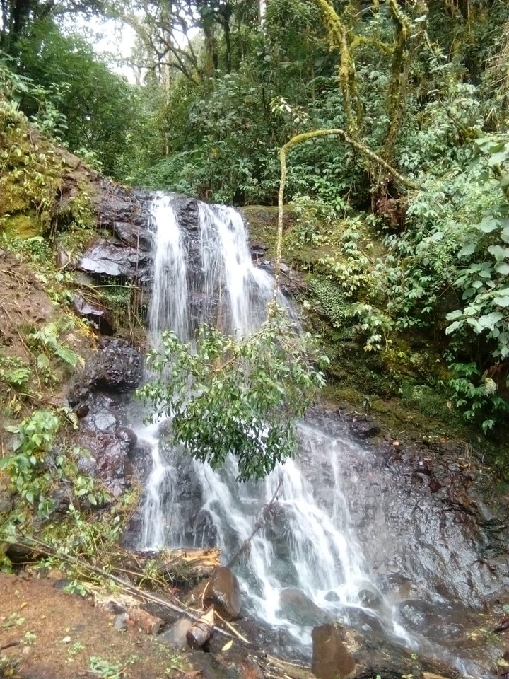 Naturaleza