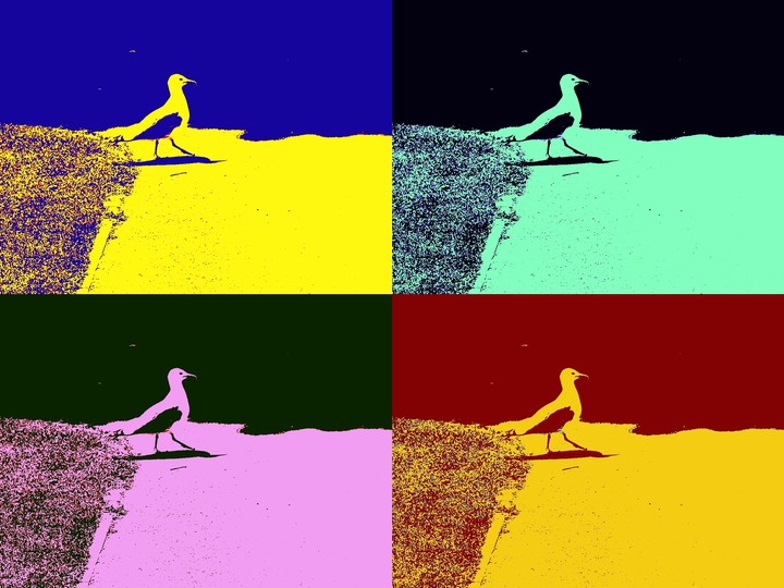 Seagull Pop Art