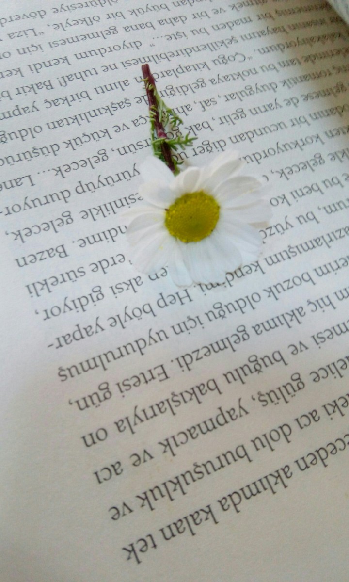 Flower