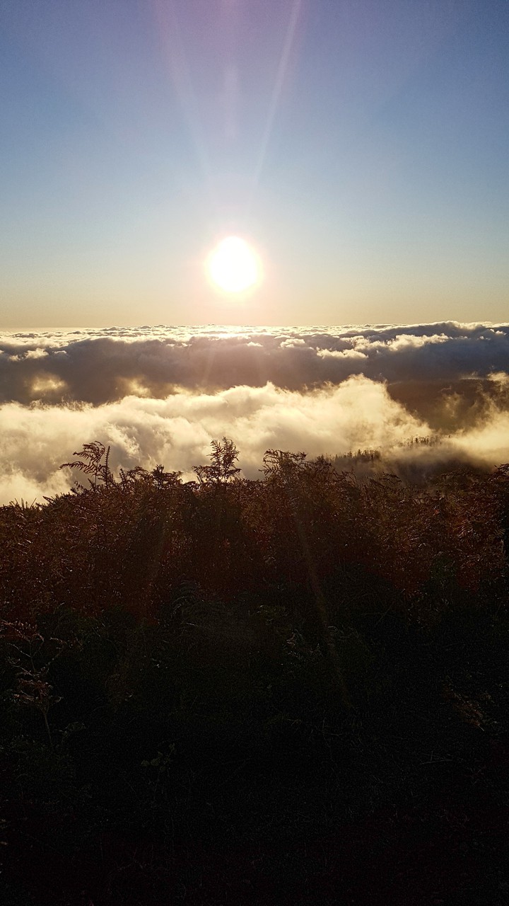 Above the clouds