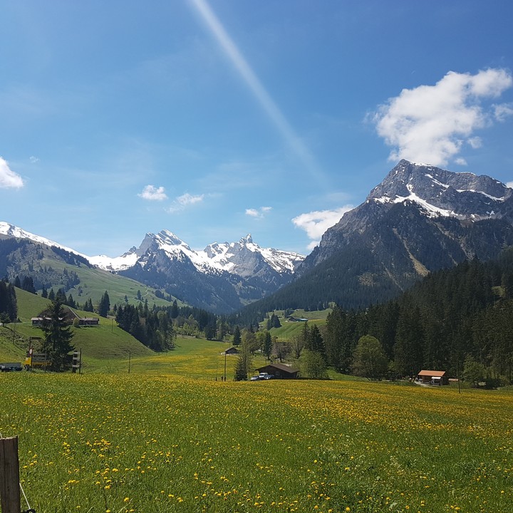 Schweizer Natur