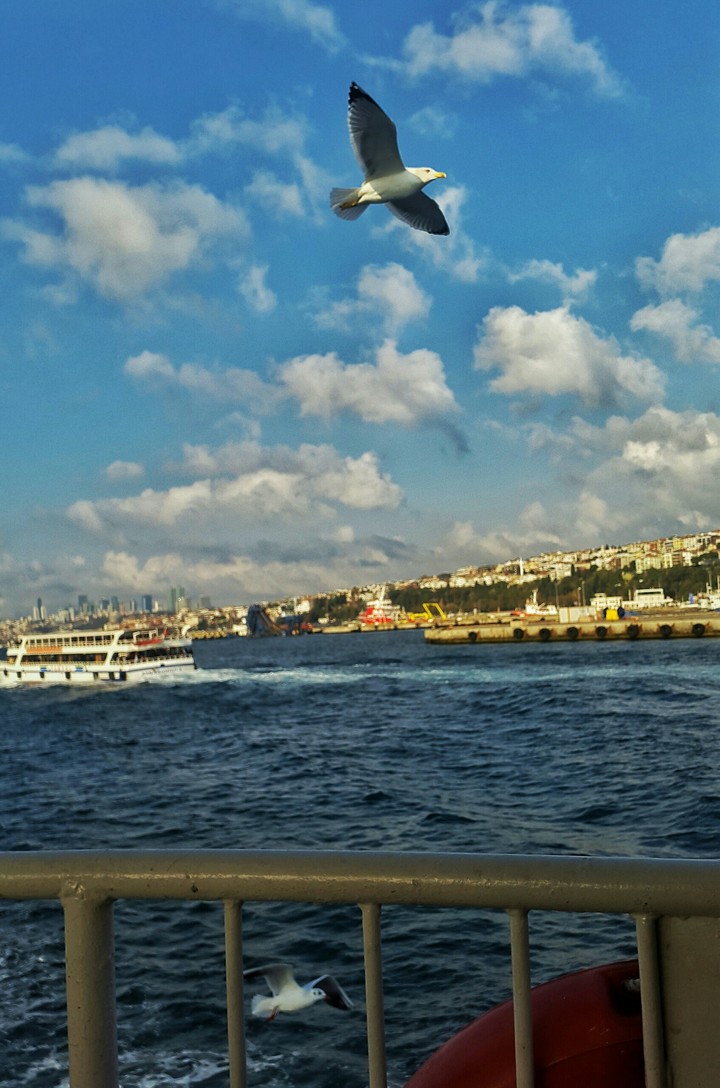 sea