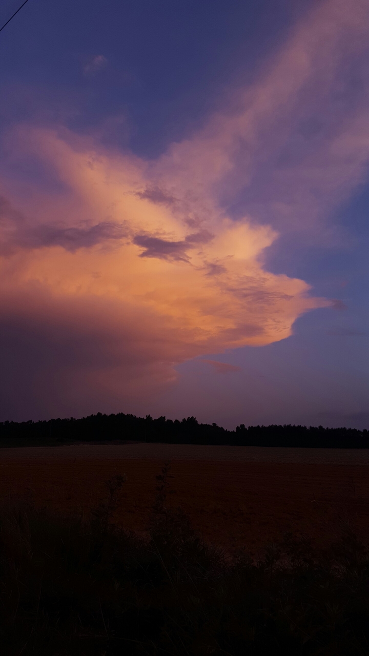 Painted Sunset