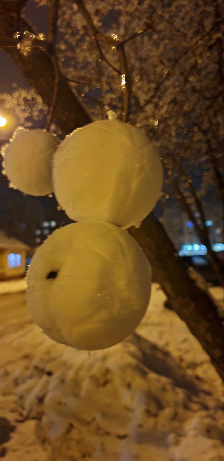 winter