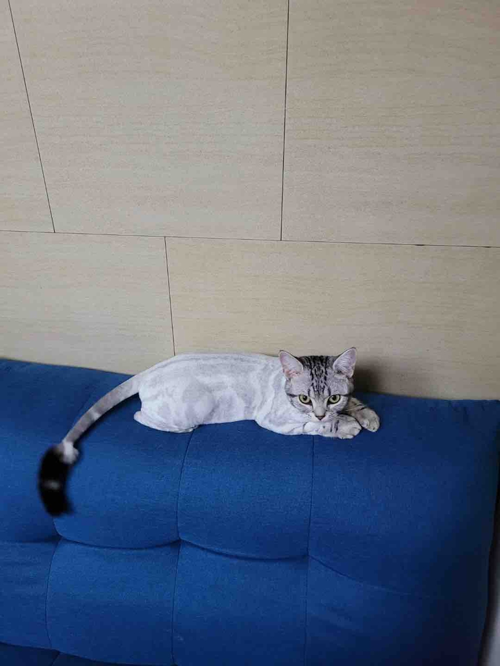 이발(?) 했습니다.충~성!!ㅋㅋㅋ