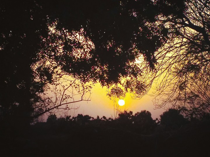 sunset