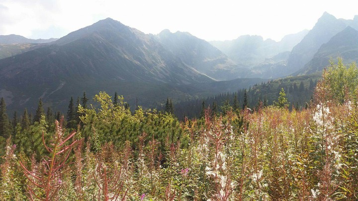 mountains