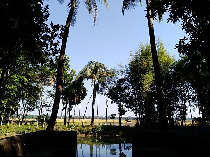 my sweet home