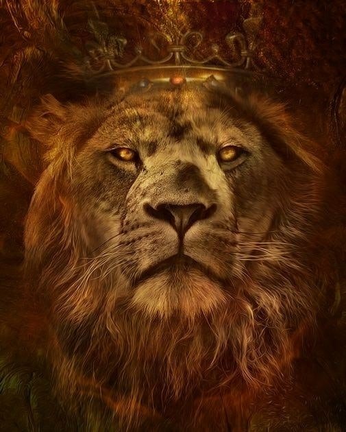 Kingggg