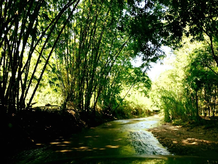 at peace