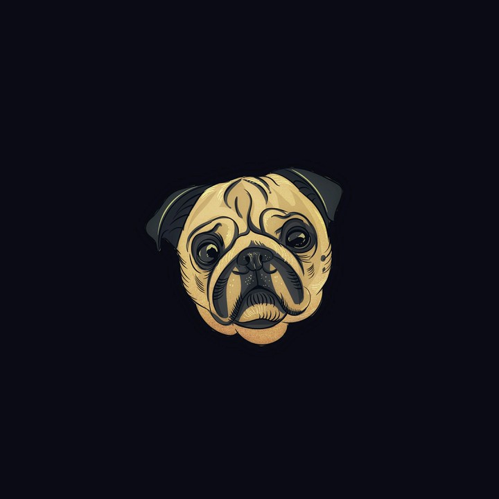 P=PERFECT, U=UNIQUE And G=GREAT == PUG