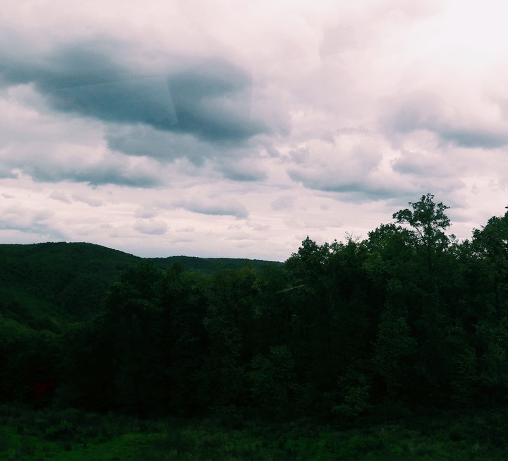 nature