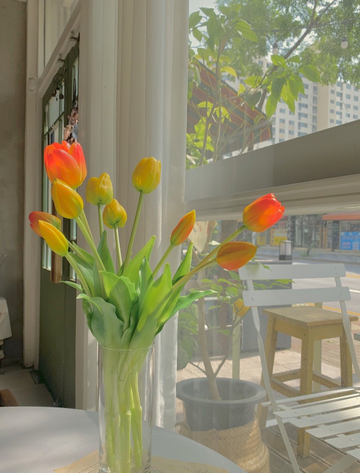 tulips in a vase