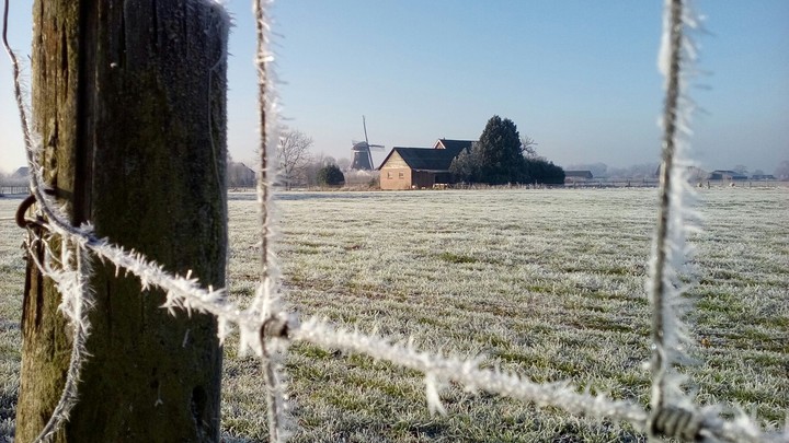 Icey fence