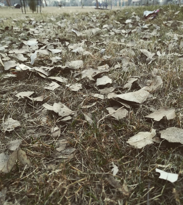 Winter