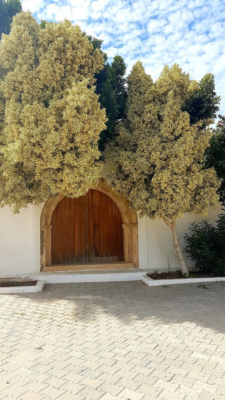 #nature#porte#