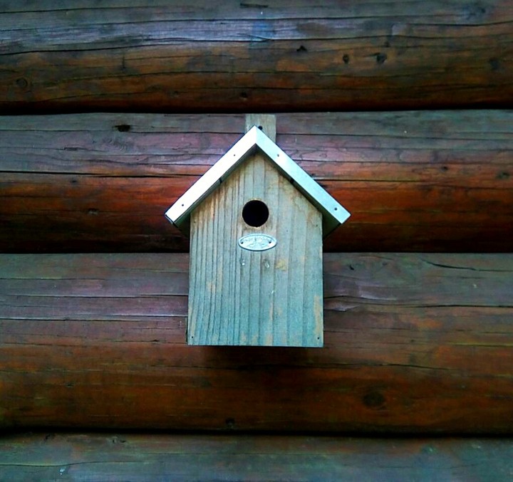 Bird feeder
