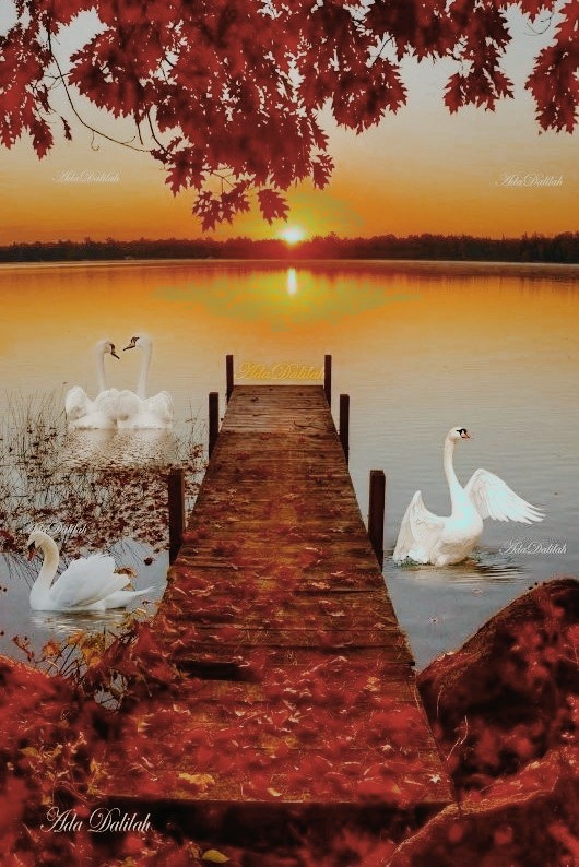 autumn