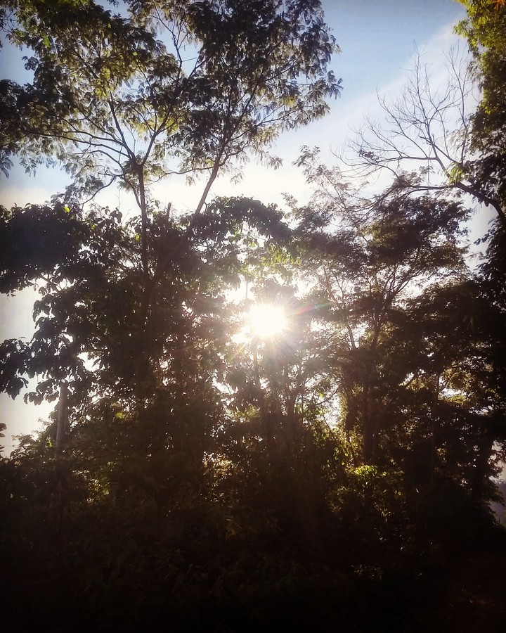 natureza