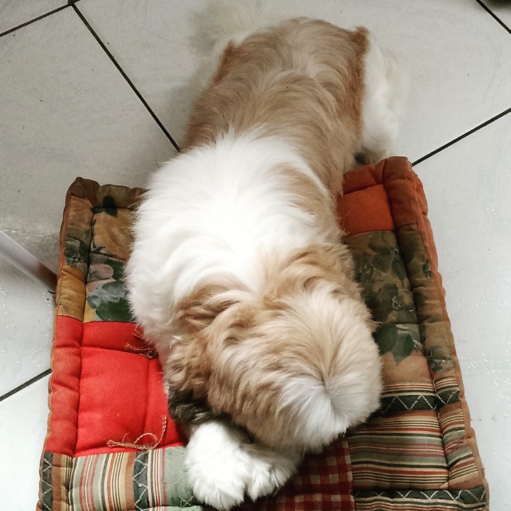 sleep
