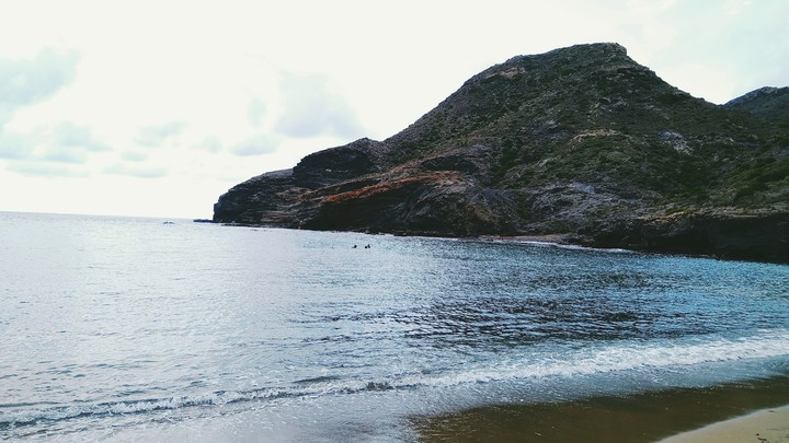 Free