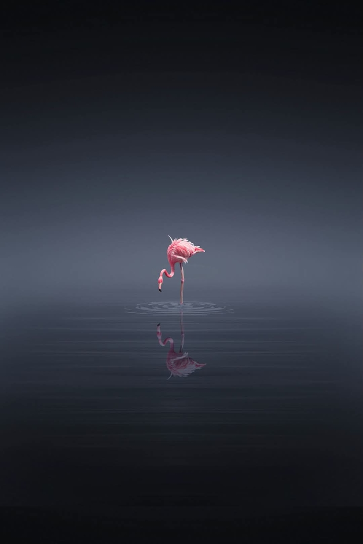 .