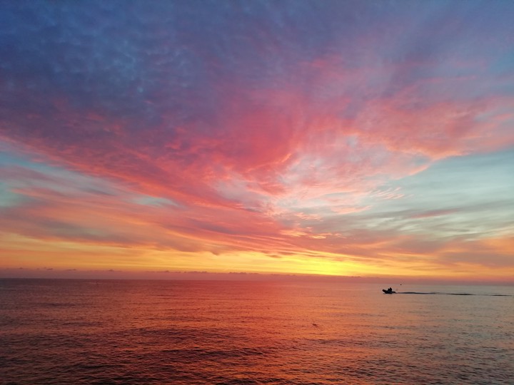 mare
